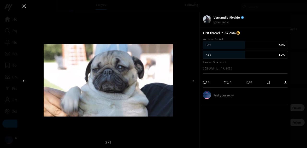 Twitter Clone screenshot 8